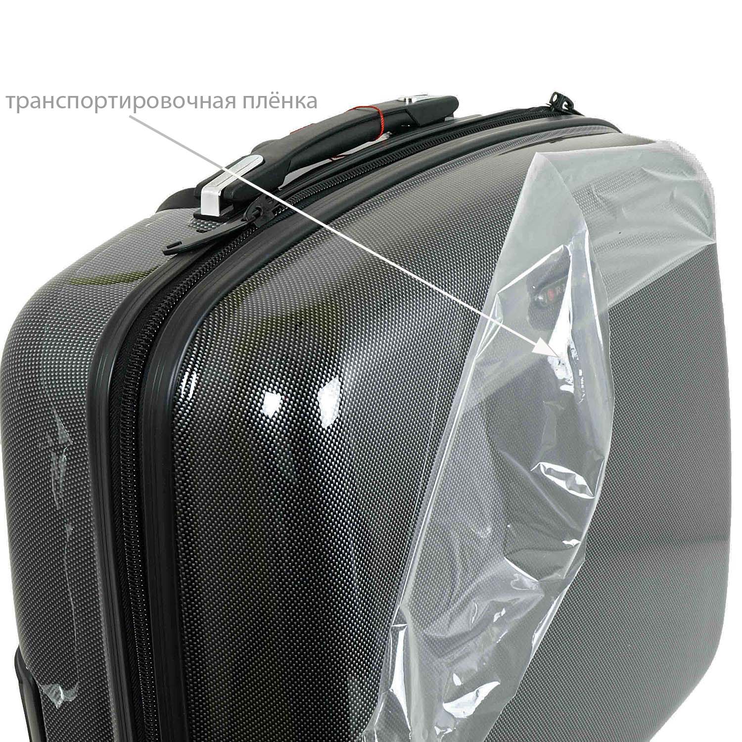 Кейс-пилот RION+ А419 Carbon