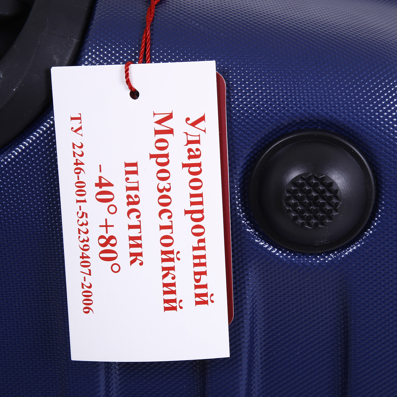 Кейс-пилот RION+ А419 Blue