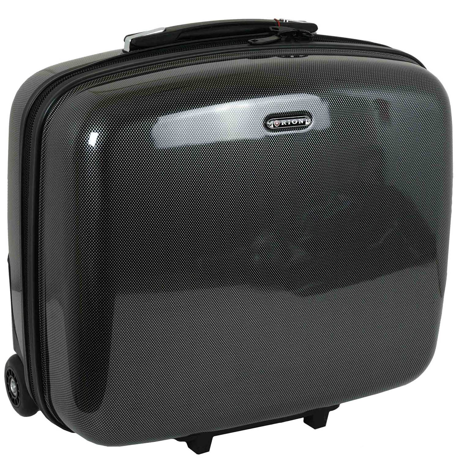 Кейс-пилот RION+ А419 Carbon