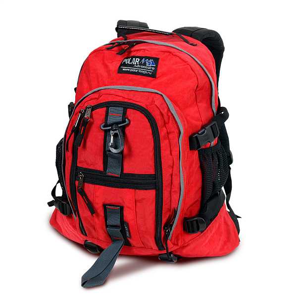 POLAR П1955-01 Red цвет: красный