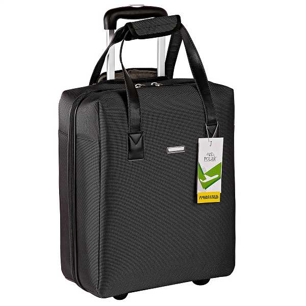 POLAR П7090-05 Black цвет: черный