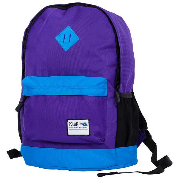 POLAR 15008 цвет: фиолетовый