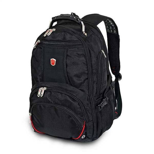 POLAR 3051 цвет: черный